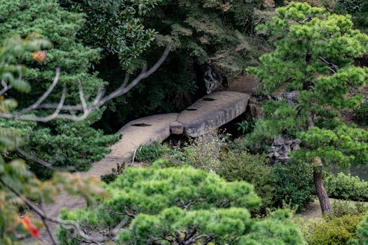 City Zen Peninsula Tokyo Urban Calm with Japanese Soul