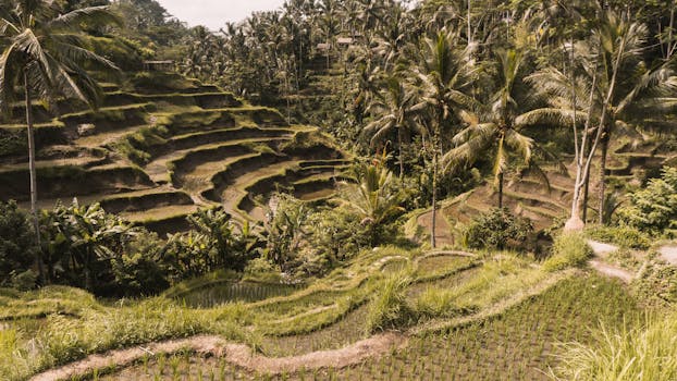 Jungle Jewel Ritz Carlton Reserve Mandapa Ubud Soulful Retreat