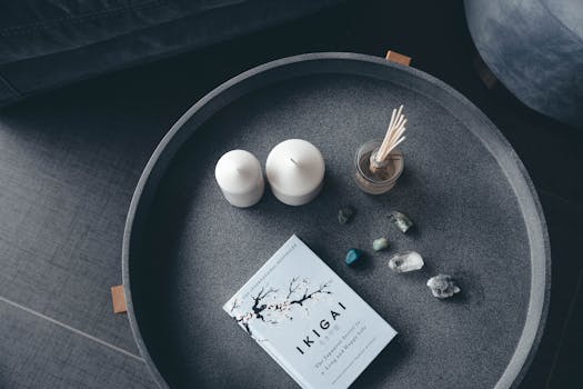 Secrets of Peninsula Tokyo Jewel of Zen Inspired Minimalism